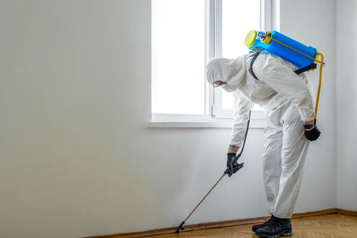 Emergency Mouse Removal in Williams Park, Smyrna GA — image 1