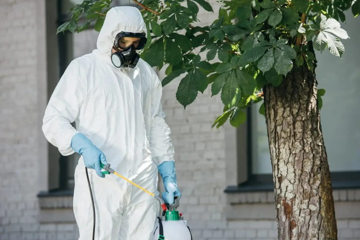 How Much Does Mouse Extermination Cost in Smyrna, GA? — supporting image