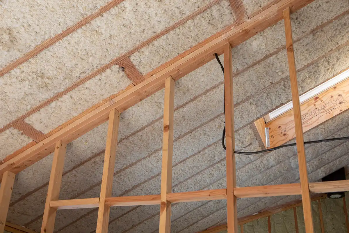 Mice in the Attic: What Smyrna Homeowners Should Do First — supporting image